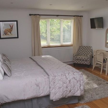Cherry Tree Guesthouse Bradford-On-Avon Phòng bức ảnh